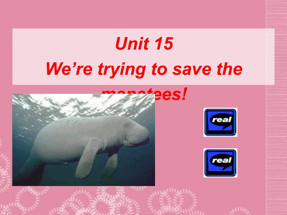 广东省珠海九中九年级英语全册Unit 15 We’re trying to save the manatees!Section A 1课件 人教新目标版_第2页