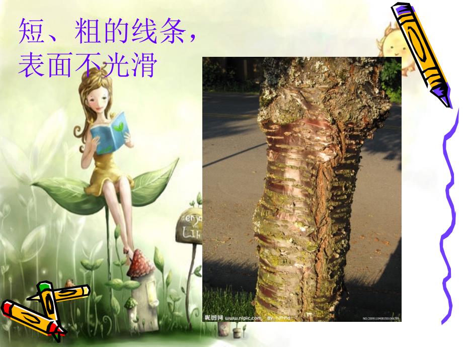 一年级-美术-摸一摸-画一画_第3页