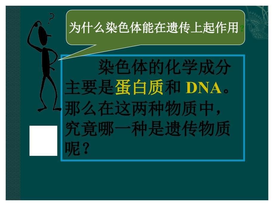 DNA是遗传物质_第5页