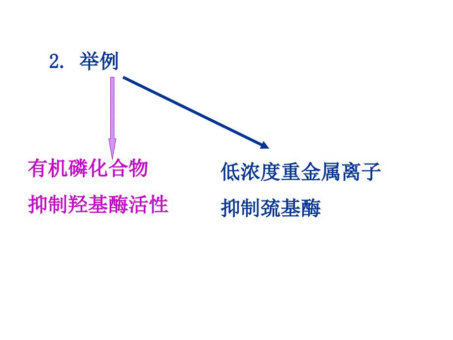 生物化学：第3章 酶_第4页