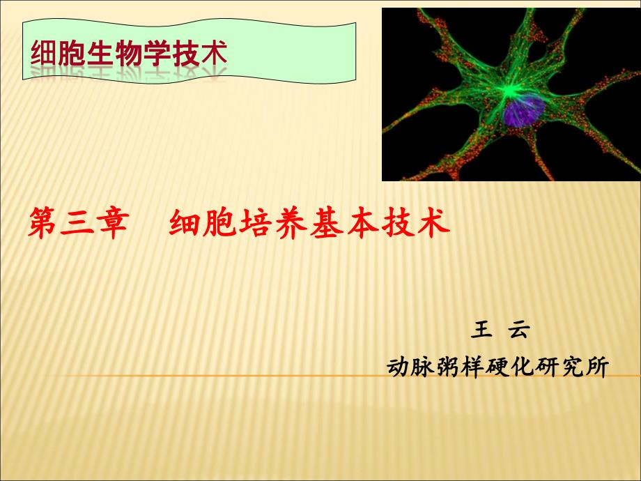 细胞培养技术实用篇.ppt_第1页