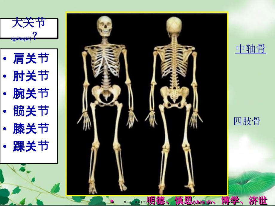 慢性骨关节病.3.26课件_第1页