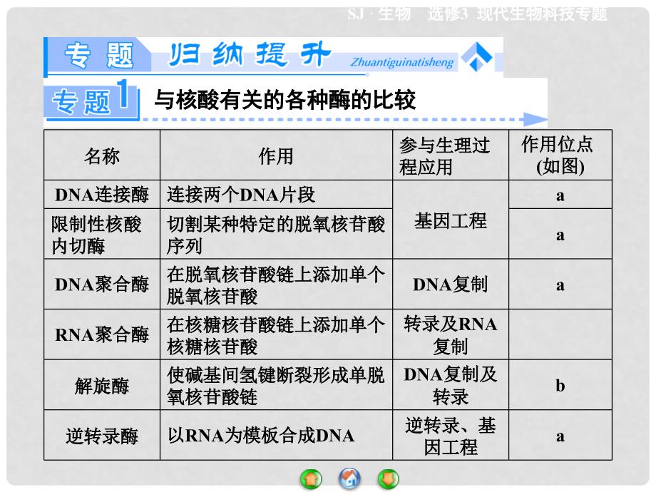 高中生物 第1章 基因工程专题归纳课件 苏教版选修3_第2页