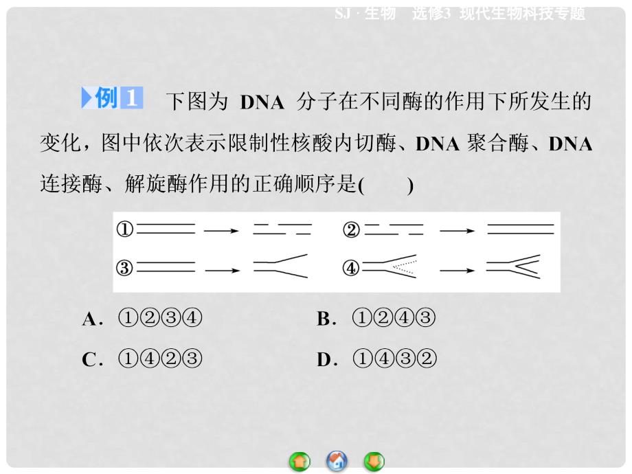 高中生物 第1章 基因工程专题归纳课件 苏教版选修3_第4页