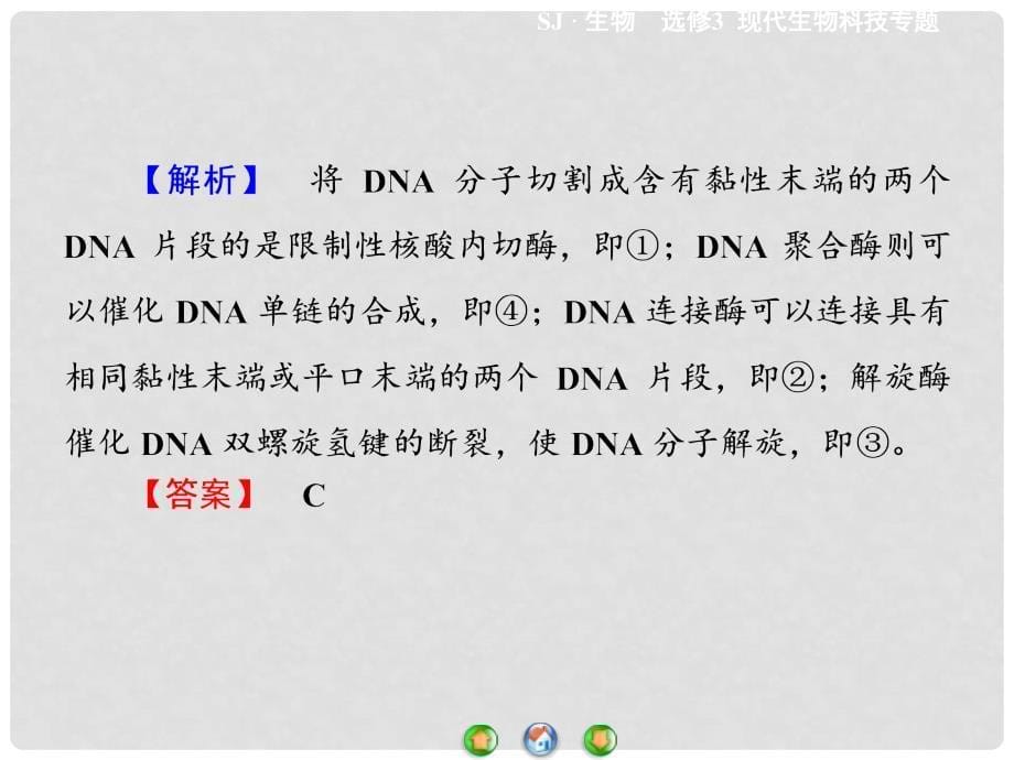 高中生物 第1章 基因工程专题归纳课件 苏教版选修3_第5页