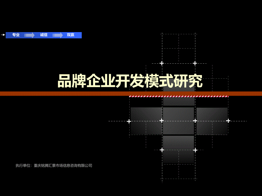 品牌企业开发模式研究_第1页