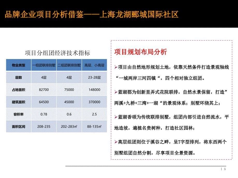 品牌企业开发模式研究_第5页