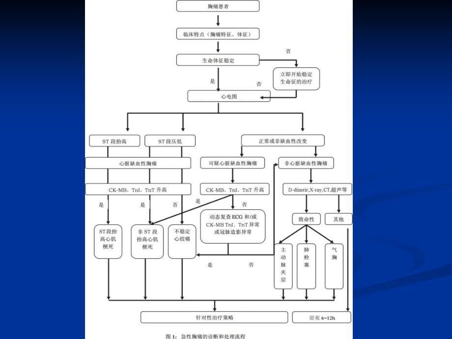 胸痛的急诊诊治流程_第5页