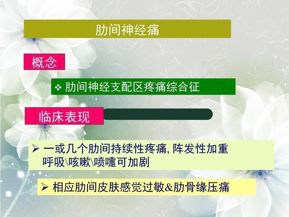 脊神经胸神经腰丛骶丛_第5页