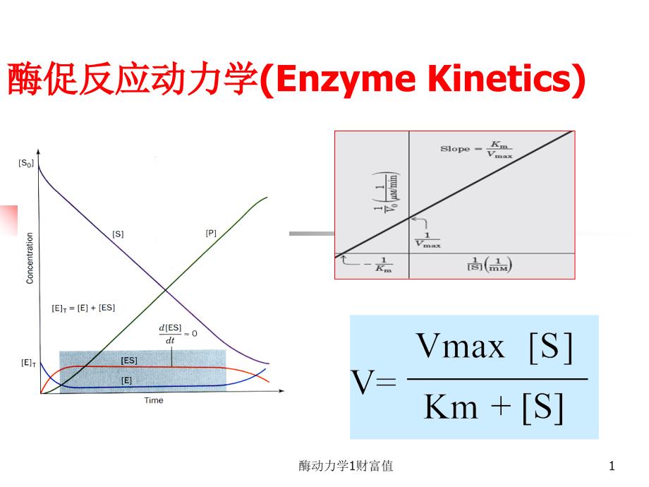 酶动力学1财富值课件_第1页