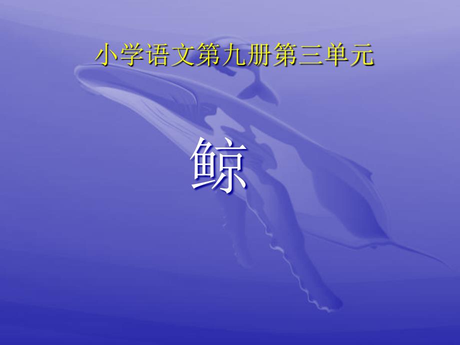 《鲸》教学课件 (2)_第1页