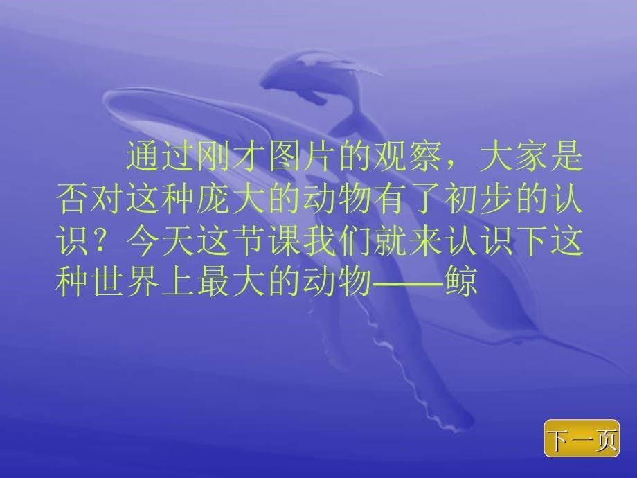 《鲸》教学课件 (2)_第5页