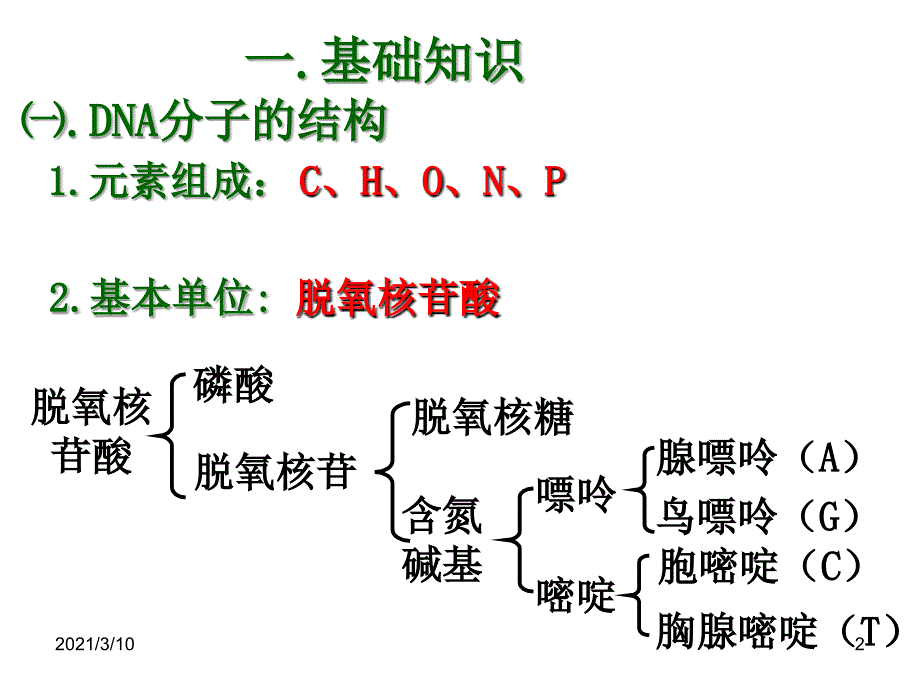 专题5课题2多聚酶链式反应扩增DNA片段上课课件_第2页