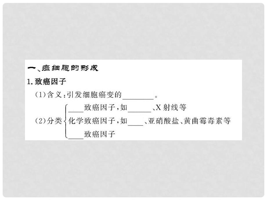 高中生物课时讲练通配套课件 5.3《关注癌症》 苏教版必修1_第3页