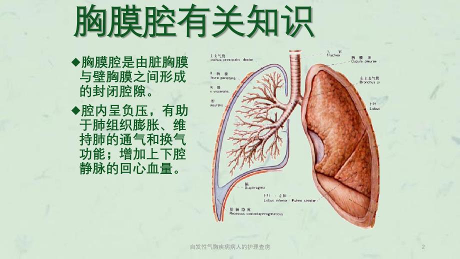 自发性气胸疾病病人的护理查房课件_第2页