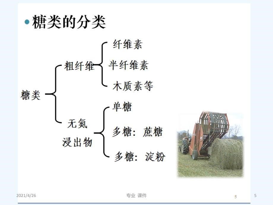 糖类的营养作用（教学课件）_第5页