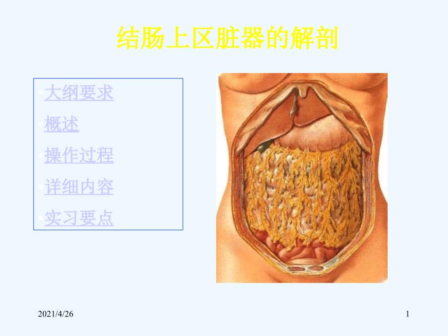 结肠上区医学课件_第1页