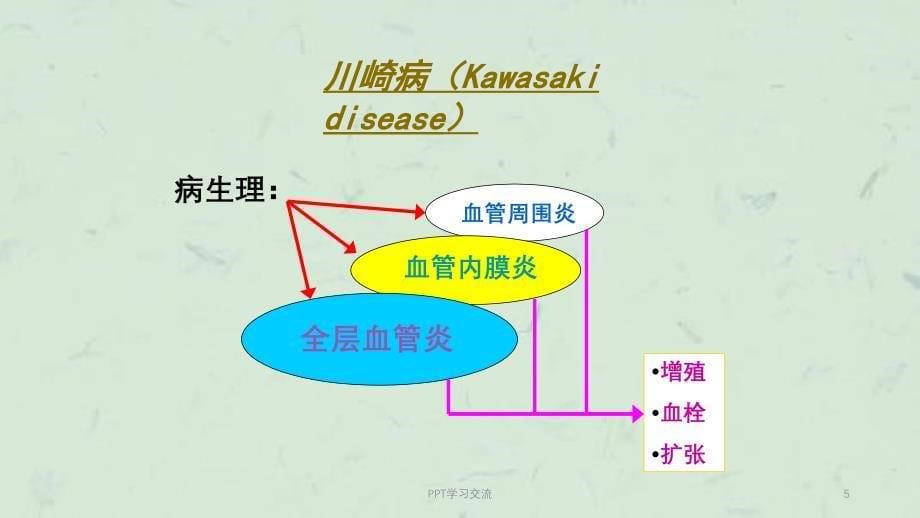 儿科学川崎病ppt课件_第5页