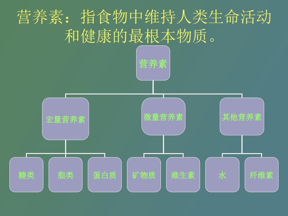 运动营养学基础_第2页