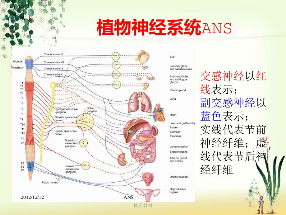 植物神经功能紊乱#高等教育_第4页