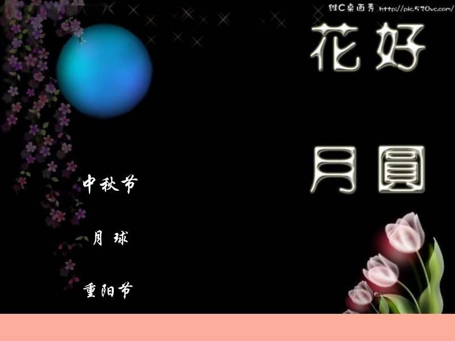 2019秋二年级品生上册《中秋与重阳》课件3 苏教版.ppt_第5页