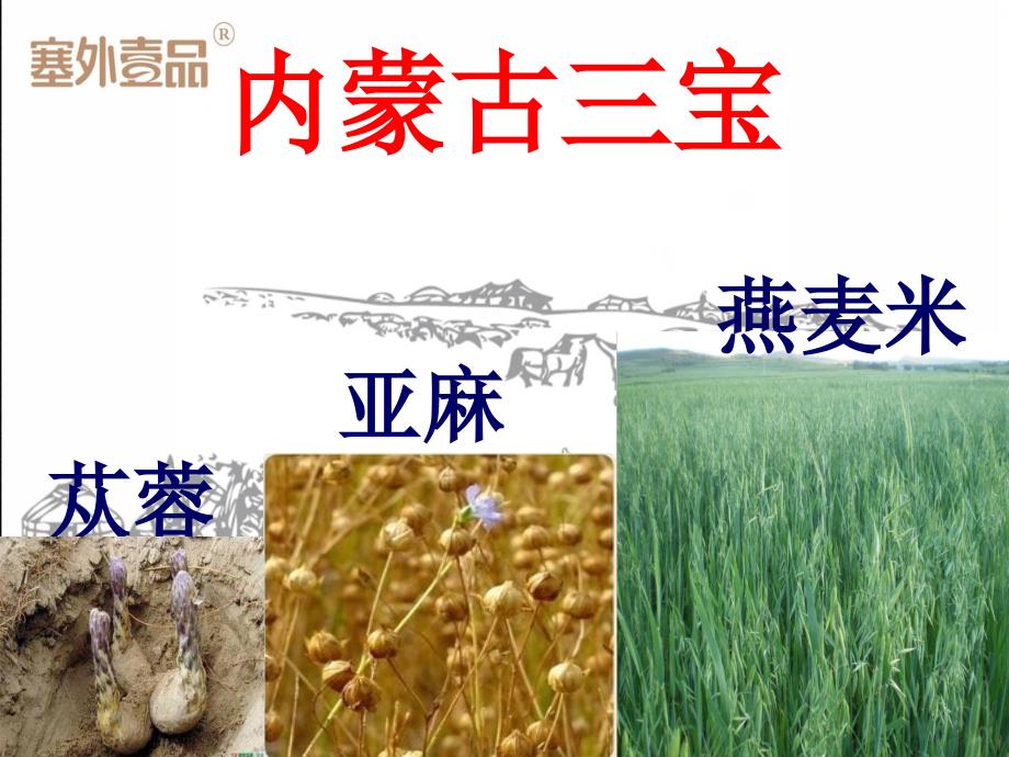 课件：燕麦米课件.ppt_第2页