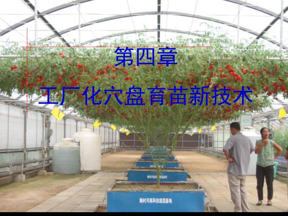 工厂化穴盘育苗技术.ppt_第1页