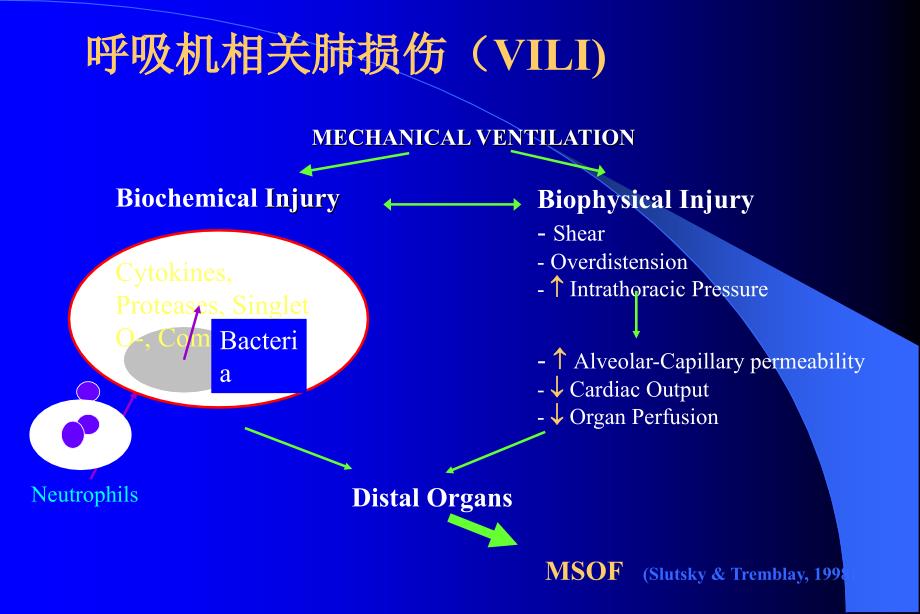 肺保护性通气策略_第3页