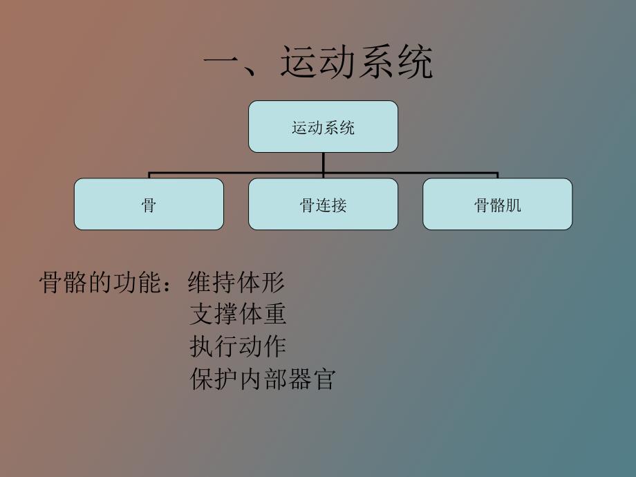 婴幼儿生理学知识_第3页