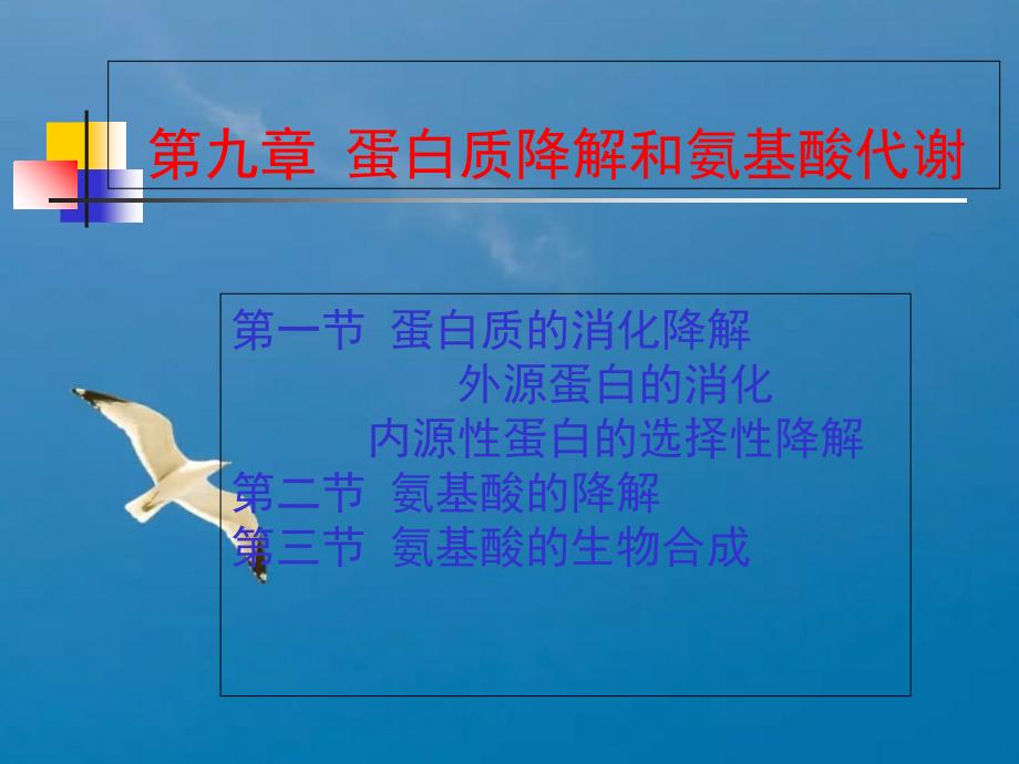 第九章蛋白质的酶促降解和氨基酸代谢讲课ppt课件_第1页