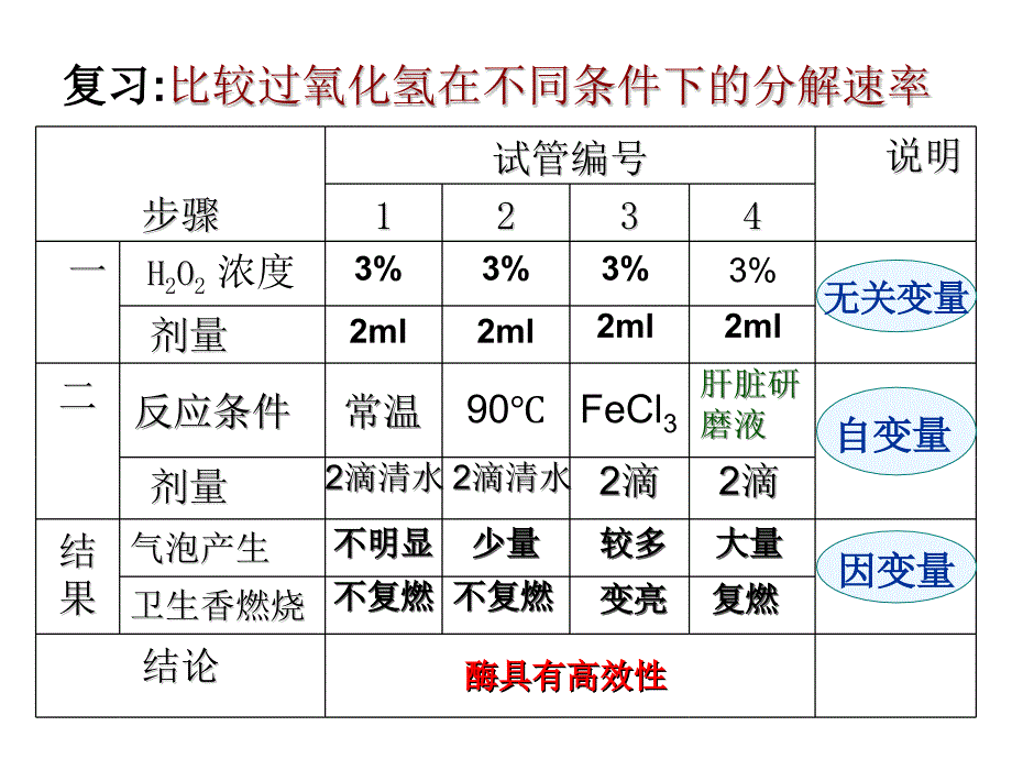 高三复习降低化学反应活化能的酶优秀课件_第4页