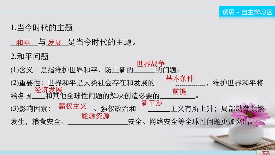 高中政治 9.1 和平与发展 时代的主题 新人教版必修2_第4页