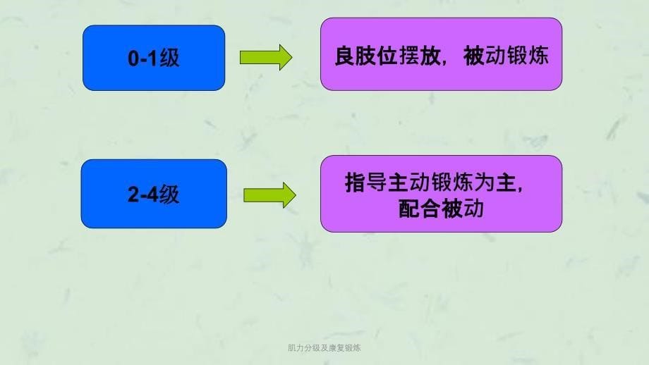 肌力分级及康复锻炼课件_第5页