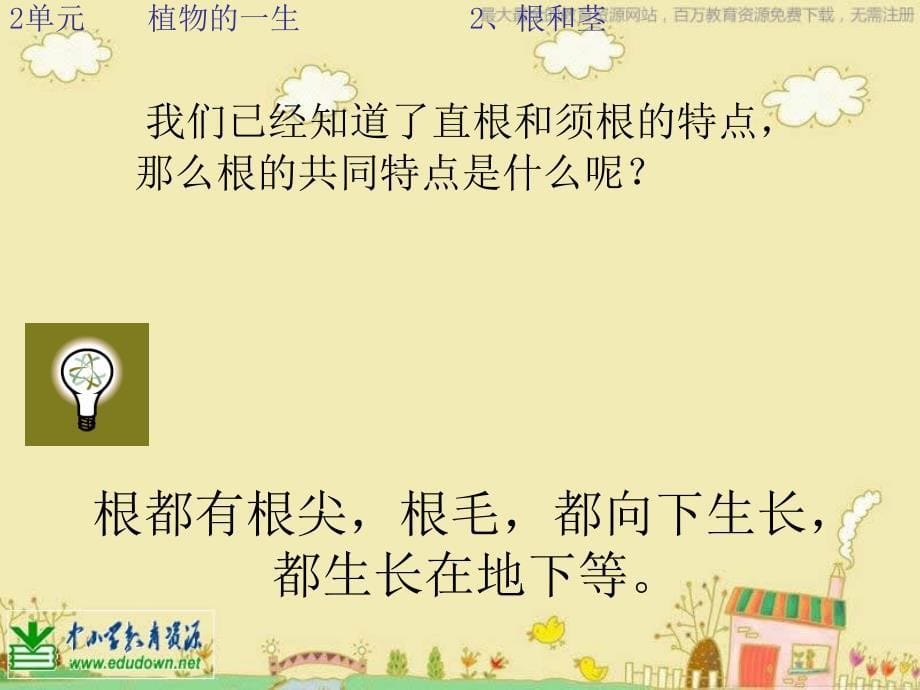 苏教版科学三下根和茎PPT课件1_第5页