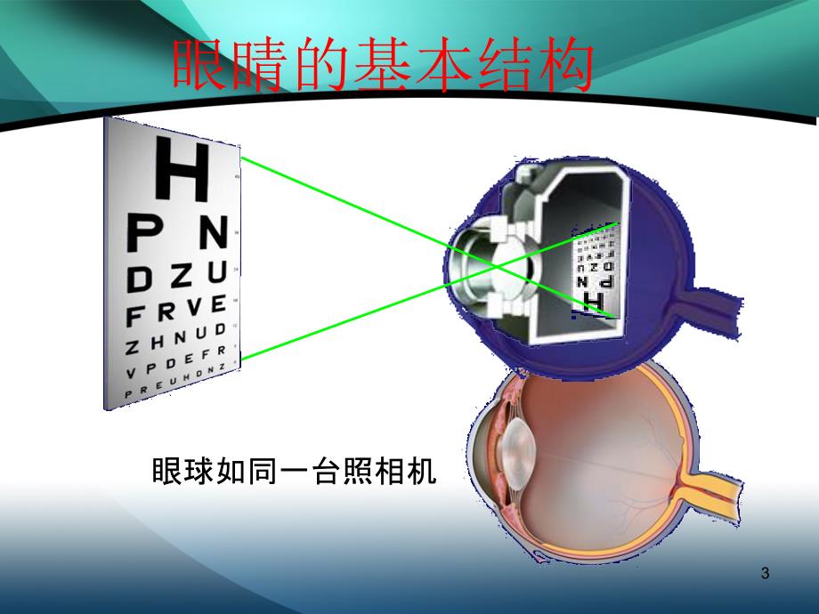 保护我们的视觉_第3页