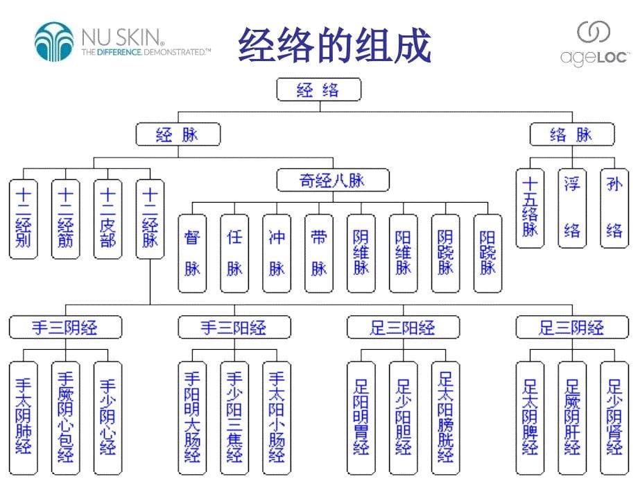 人体经络穴位使用手册[致远书苑]_第5页