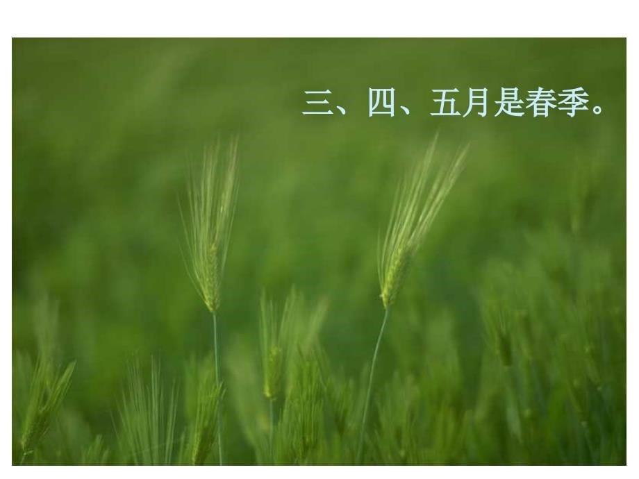 北师大版数学二年级上册《生日》课件_第5页