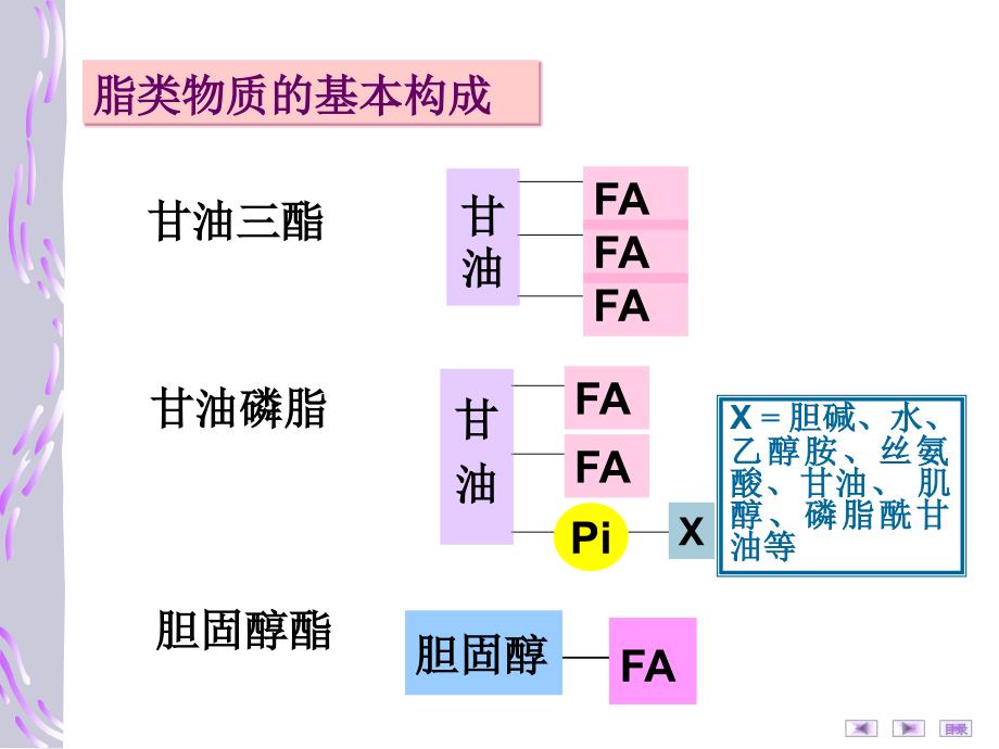 脂类代LIU谢课件_第3页