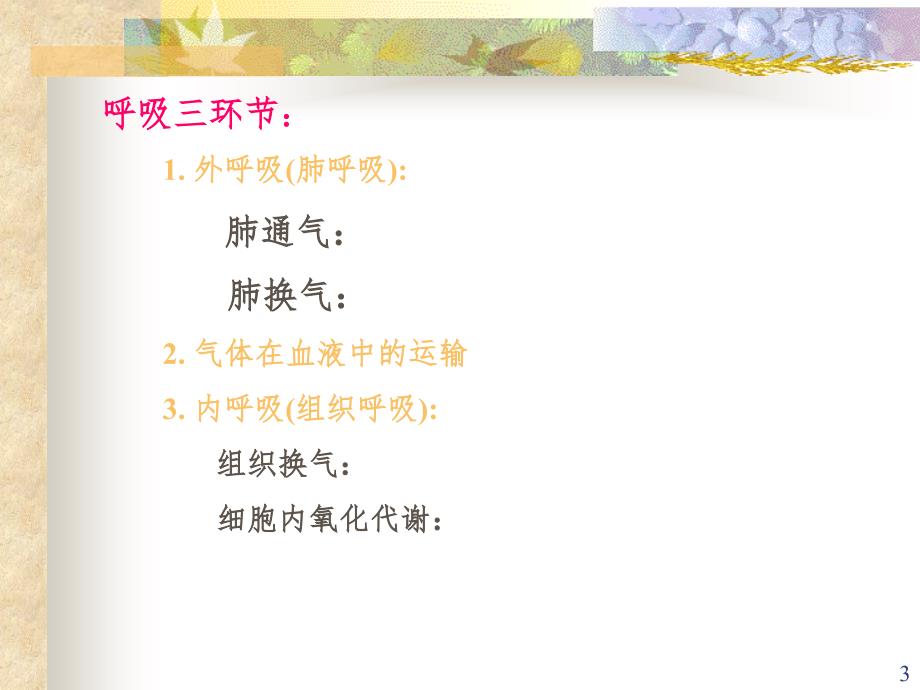 概述呼吸机体与外界环境之间的气体交换过程呼吸全PPT演示课件_第3页