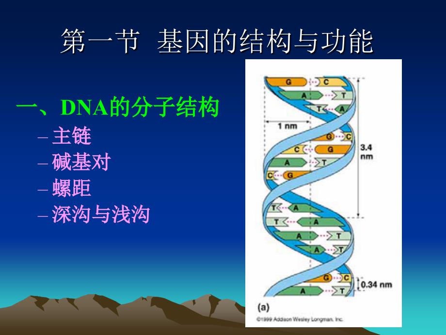 《基因和染色体》PPT课件_第4页