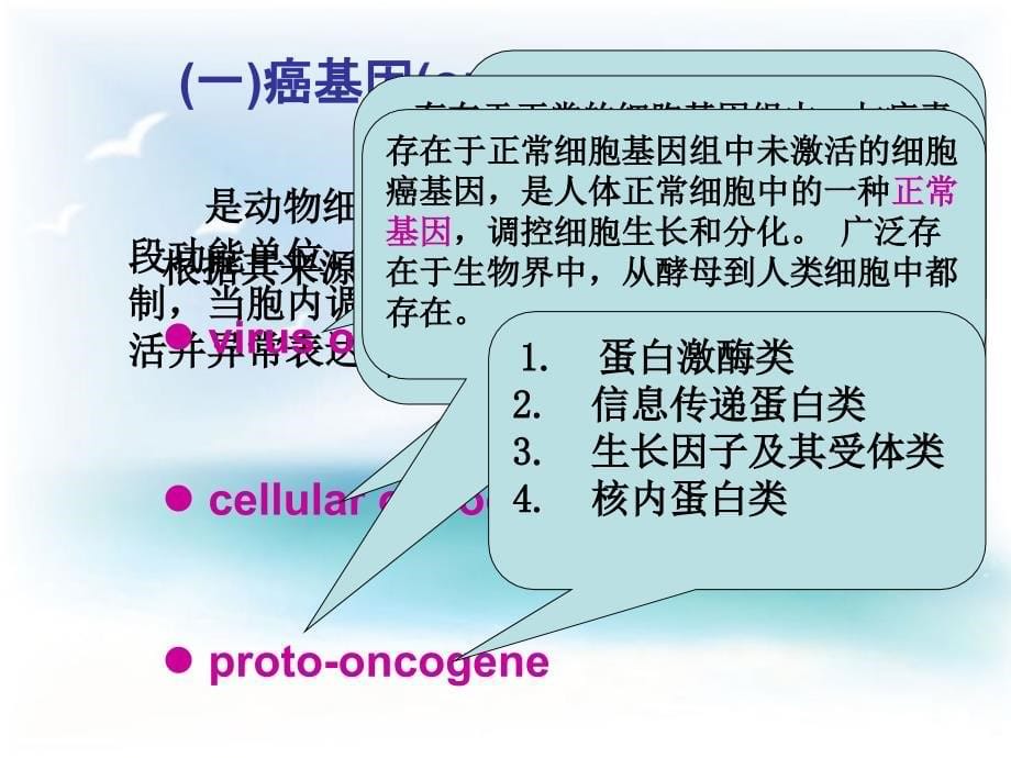 肿瘤免疫及肿瘤标记物检测_第5页