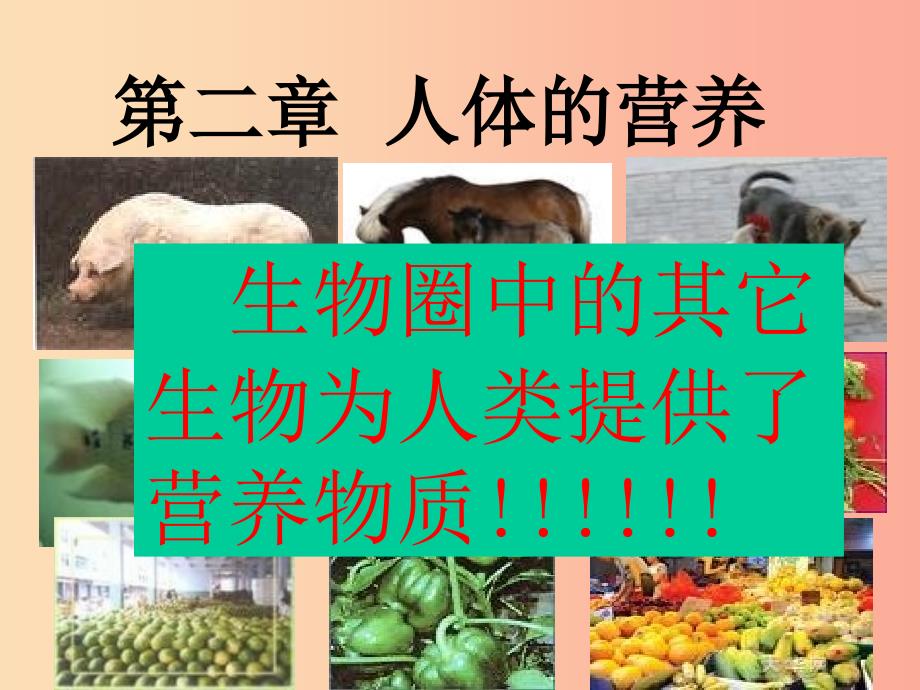 七年级生物上册 4.2.1食物中的营养物质课件 鲁科版五四制.ppt_第2页