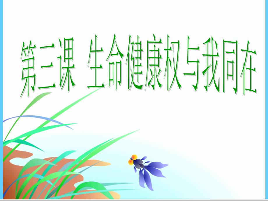 生命和健康的权利PPT课件.ppt_第1页