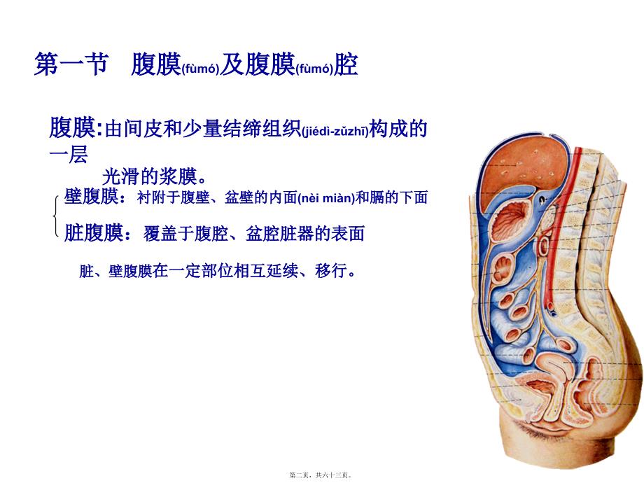 结肠上区(一)局解课件_第2页