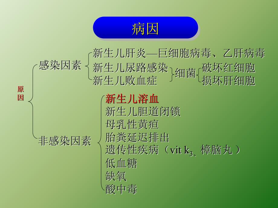 新生儿黄疸的表现及护理ppt课件_第4页