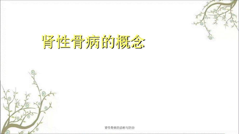 肾性骨病的诊断与防治_第3页