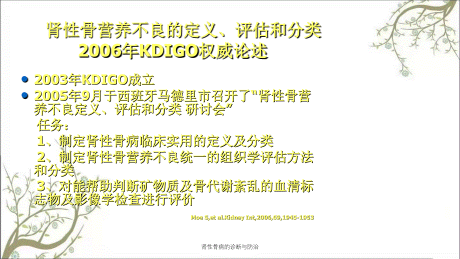 肾性骨病的诊断与防治_第4页