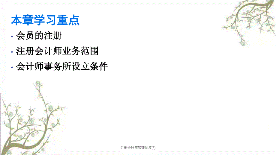 注册会计师管理制度3PPT课件_第2页