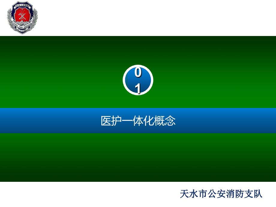 医护一体化模式_第3页