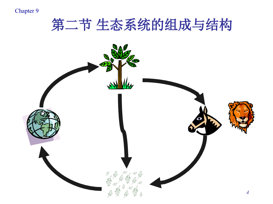 生态系统的一般特征_第4页